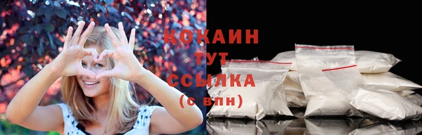 стафф Тайга