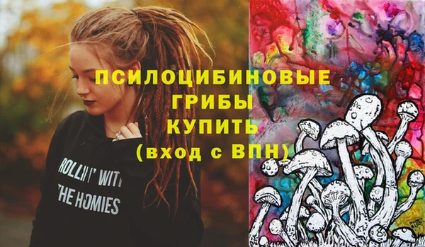 стафф Сясьстрой