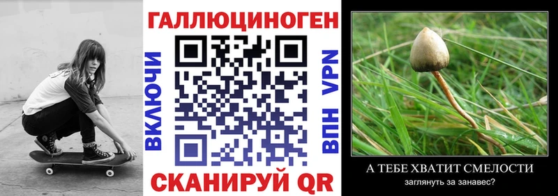 продажа наркотиков  Дедовск  Галлюциногенные грибы мухоморы 