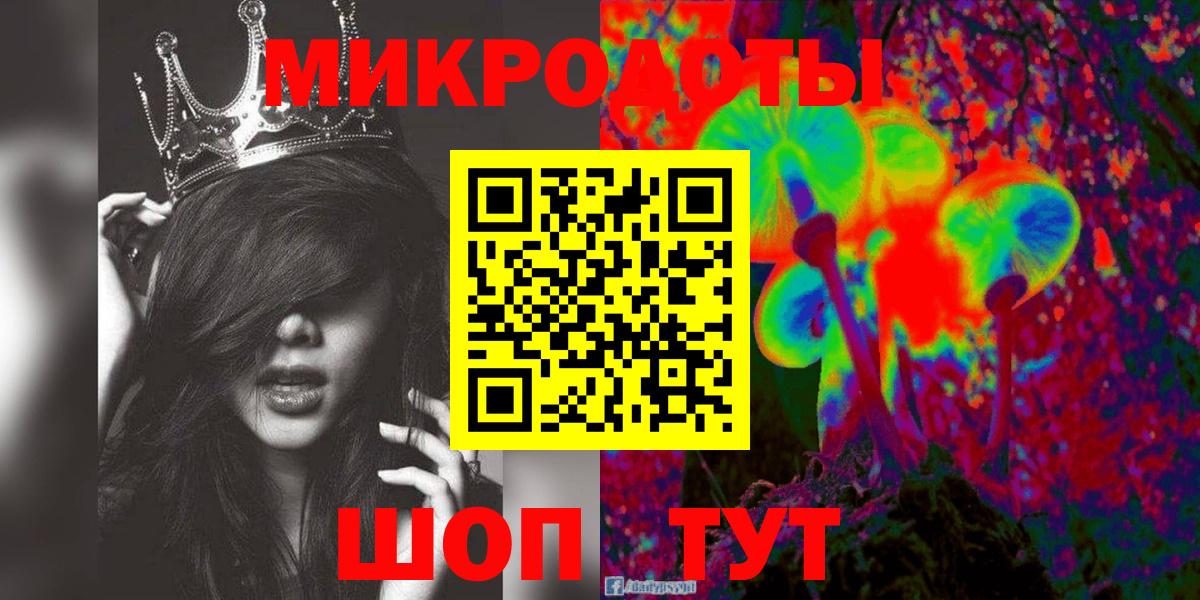 Псилоцибиновые грибы Psilocybine cubensis Дедовск